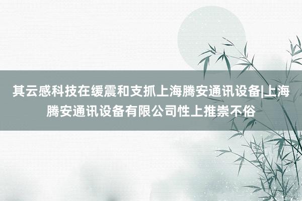 其云感科技在缓震和支抓上海腾安通讯设备|上海腾安通讯设备有限公司性上推崇不俗